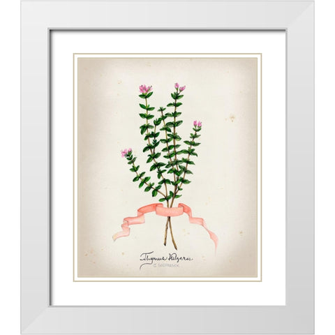 Herb Series VI White Modern Wood Framed Art Print with Double Matting by Goldberger, Jennifer