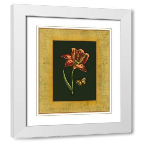 Tulip in Frame II White Modern Wood Framed Art Print with Double Matting by Unknown