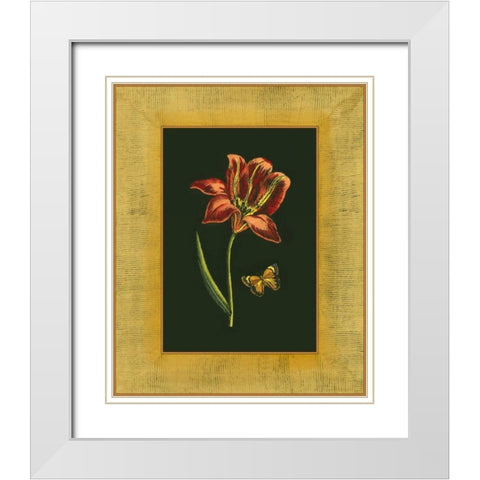 Tulip in Frame II White Modern Wood Framed Art Print with Double Matting by Unknown