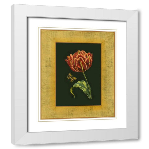 Tulip in Frame III White Modern Wood Framed Art Print with Double Matting by Unknown