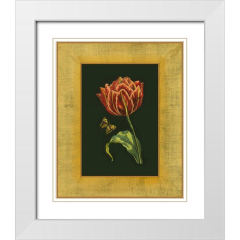 Tulip in Frame III White Modern Wood Framed Art Print with Double Matting by Unknown