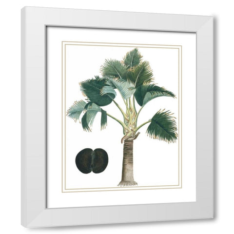 Exotic Palms III White Modern Wood Framed Art Print with Double Matting by Vision Studio