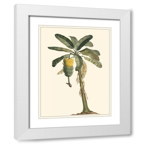 Exotic Palms VI White Modern Wood Framed Art Print with Double Matting by Vision Studio