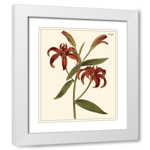 Fiery Florals I White Modern Wood Framed Art Print with Double Matting by Curtis