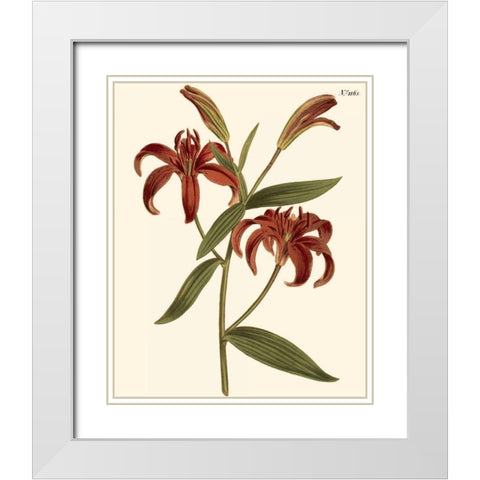 Fiery Florals I White Modern Wood Framed Art Print with Double Matting by Curtis