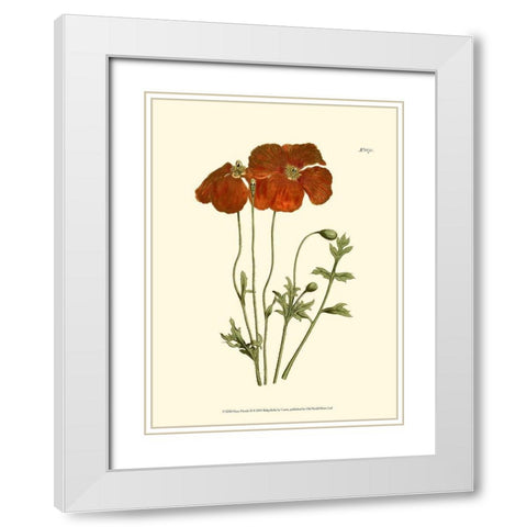 Fiery Florals II White Modern Wood Framed Art Print with Double Matting by Curtis