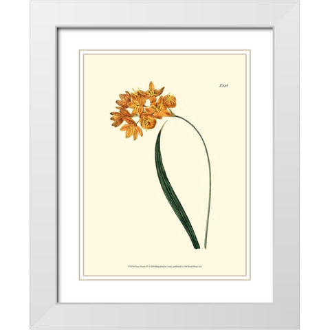 Fiery Florals IV White Modern Wood Framed Art Print with Double Matting by Curtis