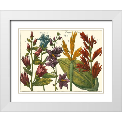 Printed Arena Botanical III White Modern Wood Framed Art Print with Double Matting by Vision Studio