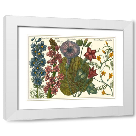 Printed Arena Botanical IV White Modern Wood Framed Art Print with Double Matting by Vision Studio