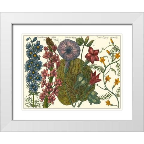 Printed Arena Botanical IV White Modern Wood Framed Art Print with Double Matting by Vision Studio