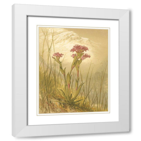 Alpine Florals II White Modern Wood Framed Art Print with Double Matting by Vision Studio