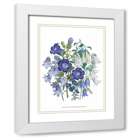 Loudon Florals I White Modern Wood Framed Art Print with Double Matting by Loudon, Jane