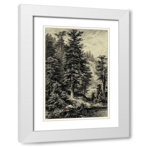 Noble Fir White Modern Wood Framed Art Print with Double Matting by Heyn, Ernst