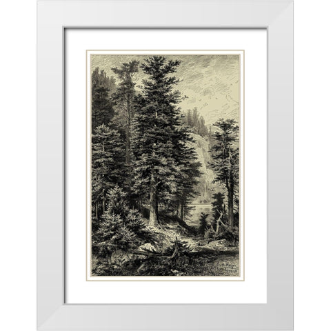 Noble Fir White Modern Wood Framed Art Print with Double Matting by Heyn, Ernst