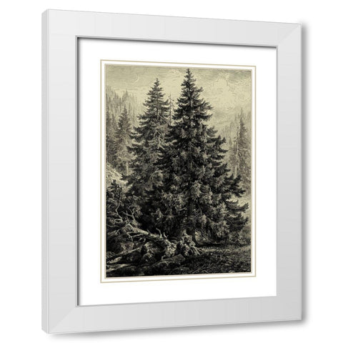 Spruce Pine White Modern Wood Framed Art Print with Double Matting by Heyn, Ernst
