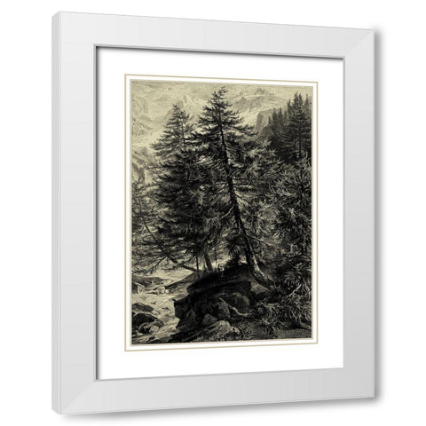 Larch Tree White Modern Wood Framed Art Print with Double Matting by Heyn, Ernst