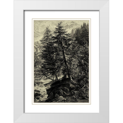 Larch Tree White Modern Wood Framed Art Print with Double Matting by Heyn, Ernst