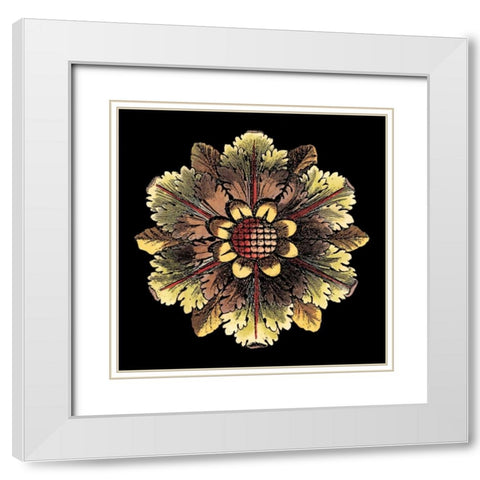 Rosette on Black I White Modern Wood Framed Art Print with Double Matting by Antonini, Da Carlo