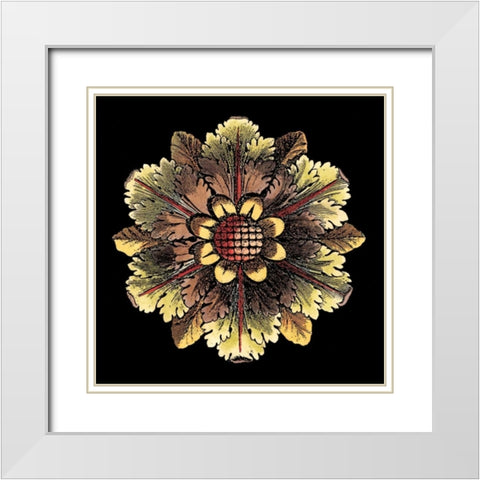 Rosette on Black I White Modern Wood Framed Art Print with Double Matting by Antonini, Da Carlo