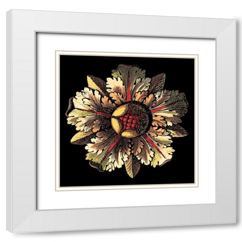 Rosette on Black III White Modern Wood Framed Art Print with Double Matting by Antonini, Da Carlo