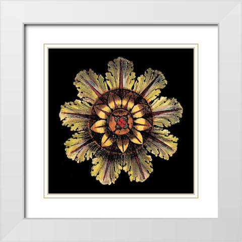 Rosette on Black IV White Modern Wood Framed Art Print with Double Matting by Antonini, Da Carlo