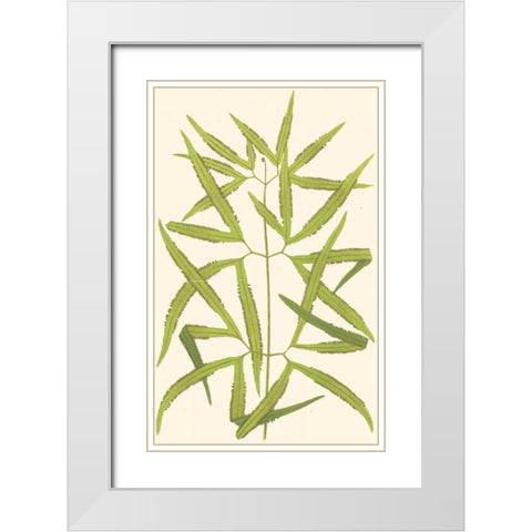 Woodland Ferns I White Modern Wood Framed Art Print with Double Matting by Lowe, E. J.