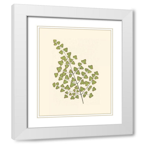 Woodland Ferns II White Modern Wood Framed Art Print with Double Matting by Lowe, E. J.