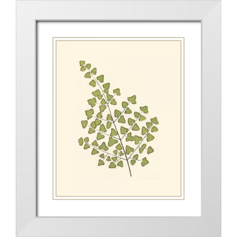 Woodland Ferns II White Modern Wood Framed Art Print with Double Matting by Lowe, E. J.