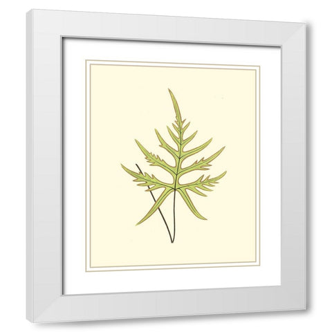 Woodland Ferns IV White Modern Wood Framed Art Print with Double Matting by Lowe, E. J.