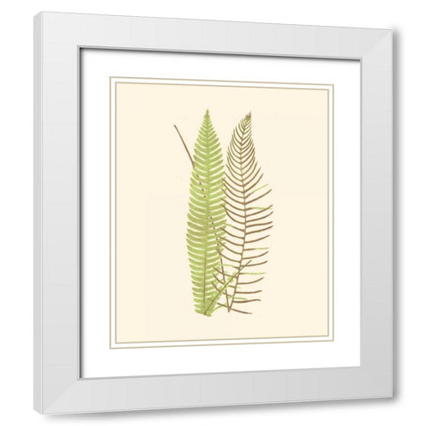 Woodland Ferns V White Modern Wood Framed Art Print with Double Matting by Lowe, E. J.
