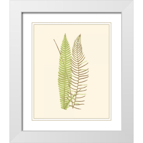 Woodland Ferns V White Modern Wood Framed Art Print with Double Matting by Lowe, E. J.