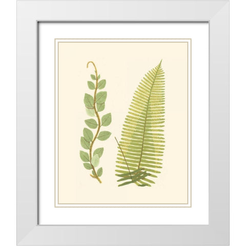 Woodland Ferns VI White Modern Wood Framed Art Print with Double Matting by Lowe, E. J.