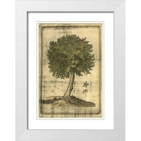 Printed Fruitful Realm I  White Modern Wood Framed Art Print with Double Matting by Vision Studio