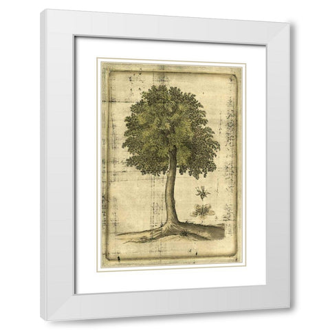 Printed Fruitful Realm II  White Modern Wood Framed Art Print with Double Matting by Vision Studio