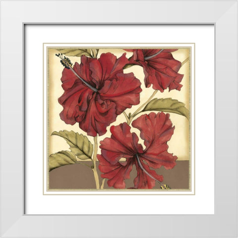 Cropped Sophisticated Hibiscus I  White Modern Wood Framed Art Print with Double Matting by Goldberger, Jennifer