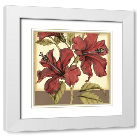 Cropped Sophisticated Hibiscus II White Modern Wood Framed Art Print with Double Matting by Goldberger, Jennifer