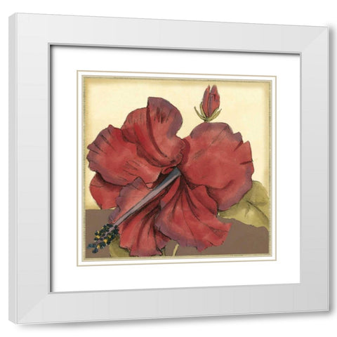 Cropped Sophisticated Hibiscus III  White Modern Wood Framed Art Print with Double Matting by Goldberger, Jennifer