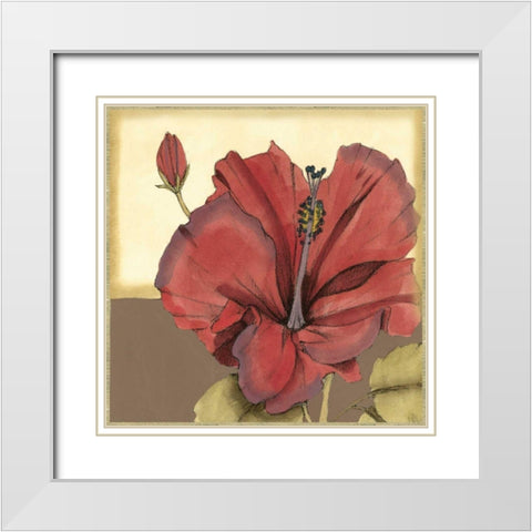 Cropped Sophisticated Hibiscus IV  White Modern Wood Framed Art Print with Double Matting by Goldberger, Jennifer