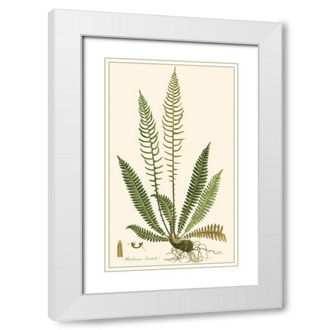 Curtis Ferns III White Modern Wood Framed Art Print with Double Matting by Curtis