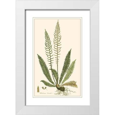 Curtis Ferns III White Modern Wood Framed Art Print with Double Matting by Curtis