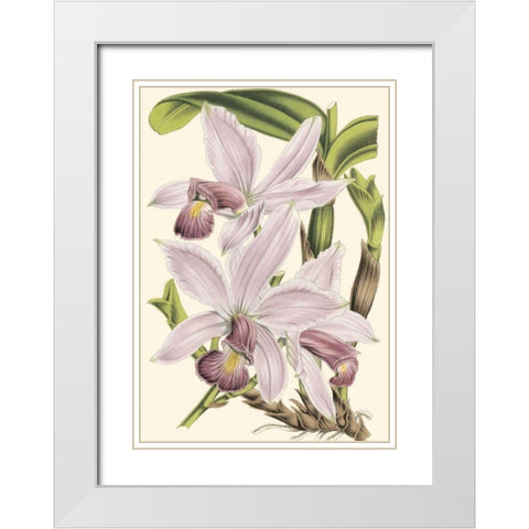 Mini Delicate Orchid I White Modern Wood Framed Art Print with Double Matting by Vision Studio