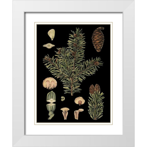 Small Dramatic Conifers I  White Modern Wood Framed Art Print with Double Matting by Vision Studio
