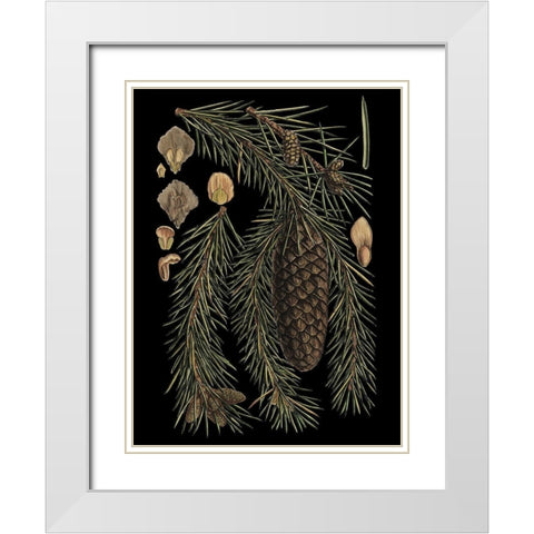 Small Dramatic Conifers III White Modern Wood Framed Art Print with Double Matting by Vision Studio