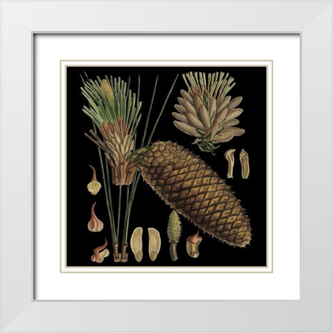 Small Dramatic Conifers VI White Modern Wood Framed Art Print with Double Matting by Vision Studio