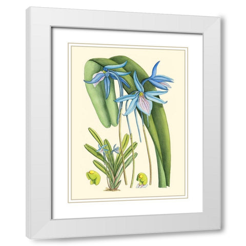 Periwinkle Blooms IV White Modern Wood Framed Art Print with Double Matting by Curtis