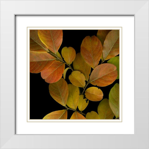Small Vivid Leaves I White Modern Wood Framed Art Print with Double Matting by Vision Studio