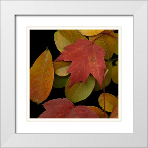 Small Vivid Leaves III White Modern Wood Framed Art Print with Double Matting by Vision Studio