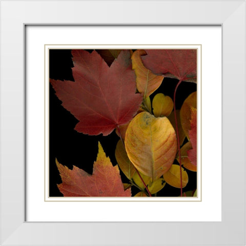 Small Vivid Leaves IV White Modern Wood Framed Art Print with Double Matting by Vision Studio