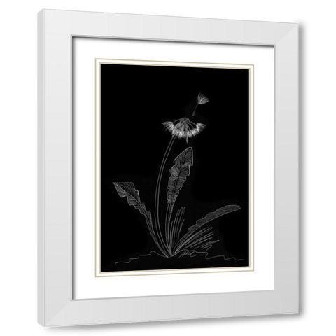 Dandelion Garden II White Modern Wood Framed Art Print with Double Matting by Ludwig, Alicia