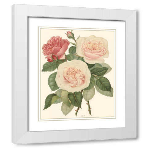 Vintage Roses II White Modern Wood Framed Art Print with Double Matting by Vision Studio